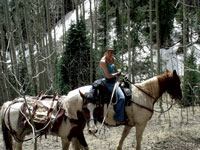 Trail Happenings, Moab Utah, Picture 5